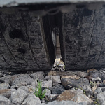 Купить бу Седельные тягачи в компании РусБизнесАвто – фото №11